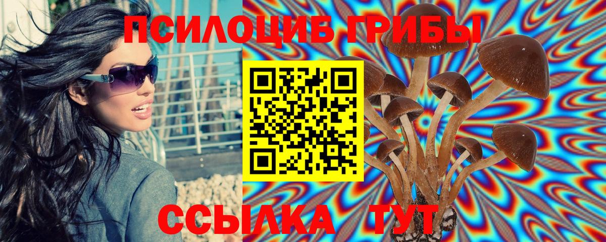 Галлюциногенные грибы прущие грибы  Вход с VPN  Вольск 